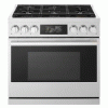 LG LPGU6319Y