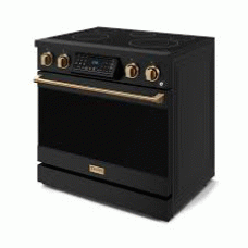 Thor Kitchen RSI30BBRZ