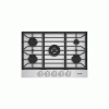 Thor Kitchen Professional TGC30F